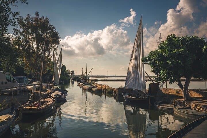 Sunset on the Albufera: Boat Tour & Lagoon Walk from Valencia photo 3