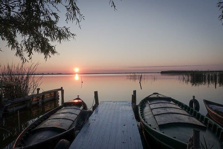 Sunset on the Albufera: Boat Tour & Lagoon Walk from Valencia photo 6
