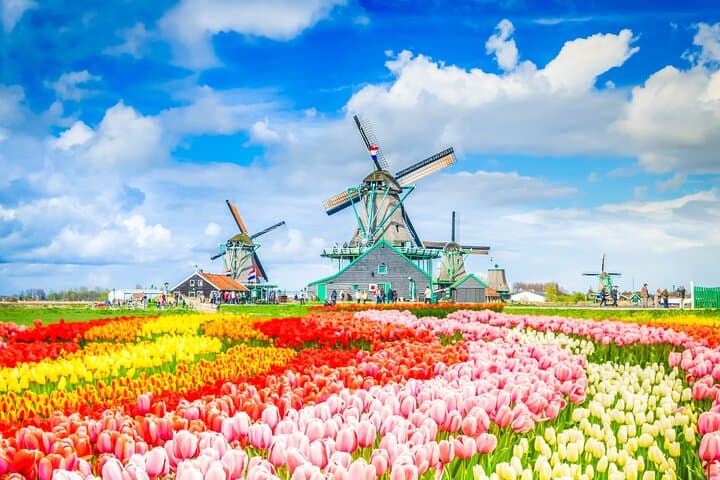 Private Zaanse Schans and Volendam Tour — Windmills, Cheese & Clogs