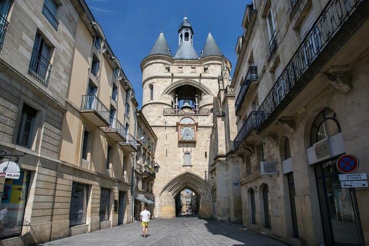 Essential Bordeaux: Private 2-Hour Walking Tour with a Local