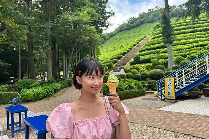 Boseong Green Tea Fields & Haepyeong Lake Trail — Private Day Tour from Gwangju
