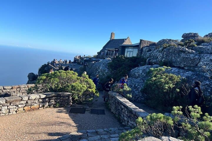 Table Mountain Cableway and Robben Island Full‑Day Tour from Cape Town photo 3