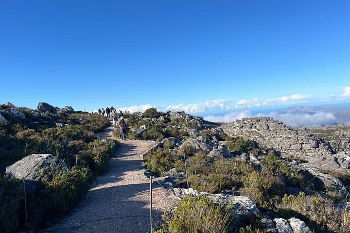 Table Mountain Cableway and Robben Island Full‑Day Tour from Cape Town