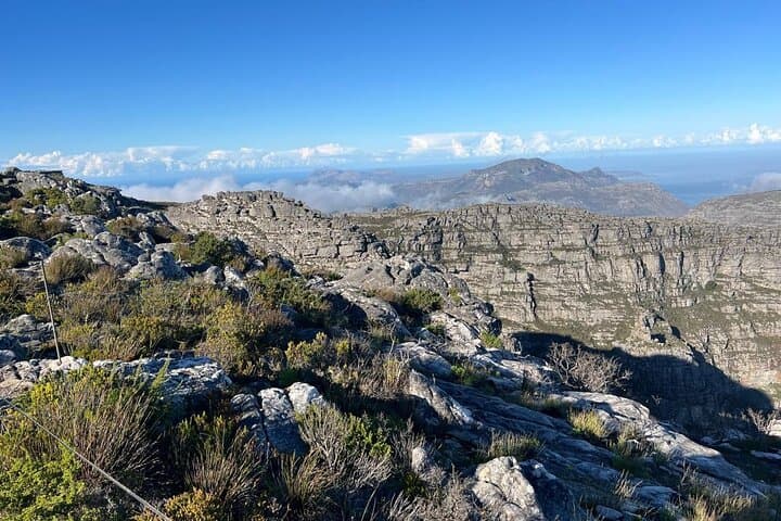 Table Mountain Cableway and Robben Island Full‑Day Tour from Cape Town photo 5