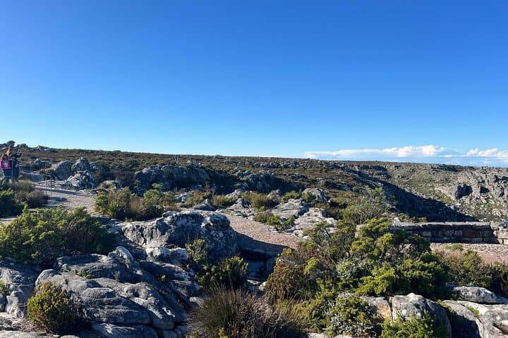 Table Mountain Cableway and Robben Island Full‑Day Tour from Cape Town photo 6