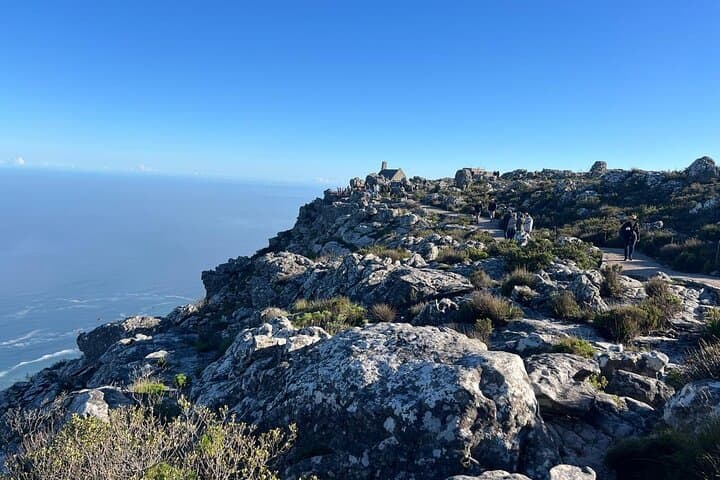 Table Mountain and Robben Island: Private Full-Day Tour from Cape Town photo 2