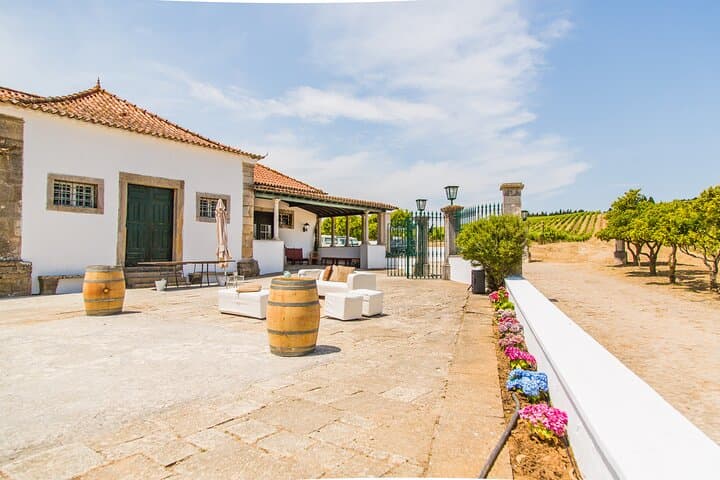 Lisbon 4WD Winery Tour — Half-Day Wine Tasting in Alenquer & Torres Vedras photo 4