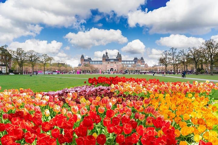 Private Van Gogh & Rijksmuseum Tour in Amsterdam — Museum Pickup, Guide & Free Time