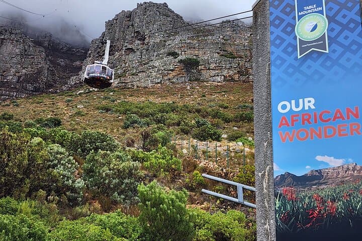Cape Town in a Day: Table Mountain, Boulders Penguins and Cape Point Private Tour