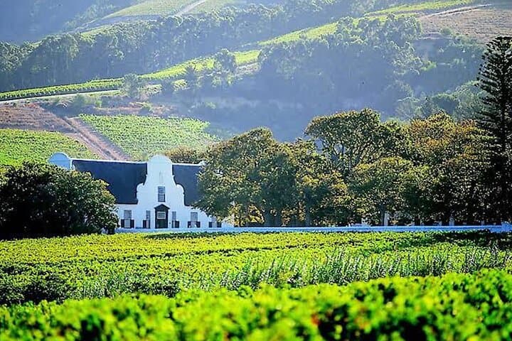 Private Winelands Day Trip: Stellenbosch, Paarl & Franschhoek Wine Tasting photo 5