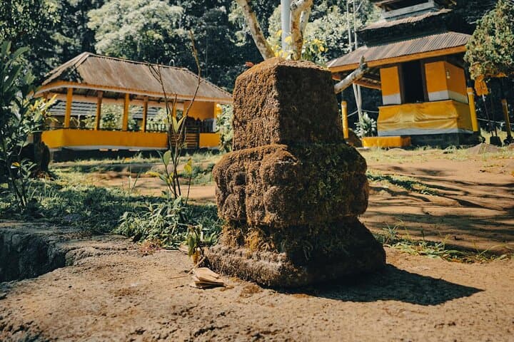 Bali Rainforest Hiking, Canoeing & Banyumala Waterfall Day Trip photo 6