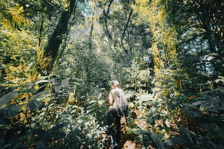 Bali Rainforest Hiking, Canoeing & Banyumala Waterfall Day Trip