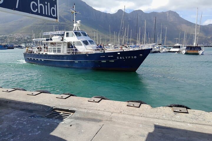 Cape Peninsula Private Tour: Table Mountain, Penguins & Cape of Good Hope photo 5