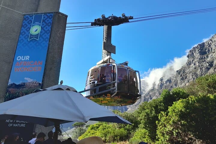 Cape Peninsula Private Tour: Table Mountain, Penguins & Cape of Good Hope