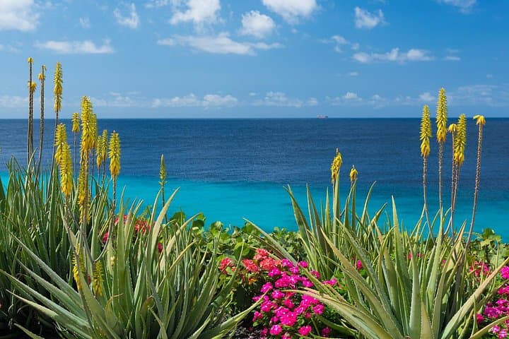 Curacao Beach Hopping from Willemstad: Private UTV Tour, Snorkeling & Bandabou Lunch photo 2