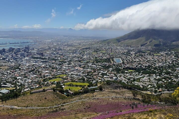 Private Cape Town City Tour: Table Mountain, Bo-Kaap & District Six in One Day photo 6