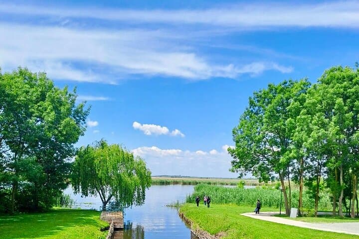 Private National Village Museum and Comana Adventure Park Day Trip from Bucharest