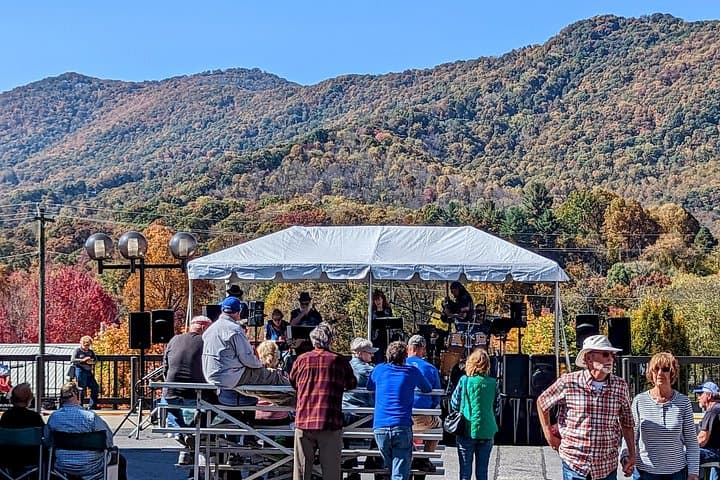 Custom Private Day Trips from Asheville to Saluda, Flat Rock & Hendersonville photo 4