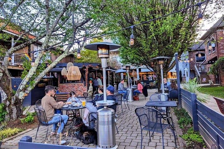Custom Private Day Trips from Asheville to Saluda, Flat Rock & Hendersonville photo 5