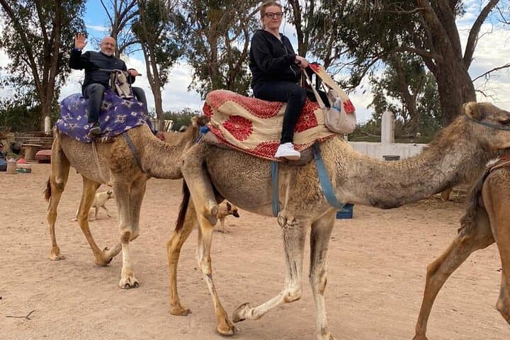 Sunset Camel Ride & Dinner at Habitant House — Agadir Eucalyptus Ranch Experience photo 6