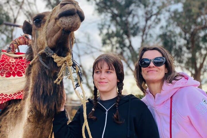 Sunset Camel Ride in Agadir: Private 2-Hour Eucalyptus & Souss River Experience photo 5