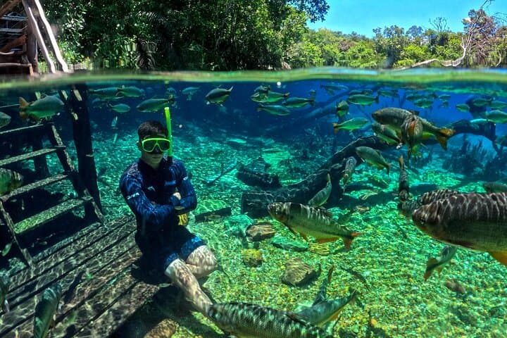 Snorkel the Crystal Rivers at Recanto Ecológico Rio da Prata photo 2