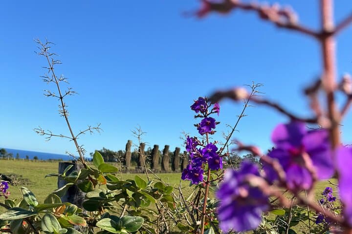 Half-Day Cultural Tour of Rapa Nui: Ahu Akivi, Rano Raraku & Orongo