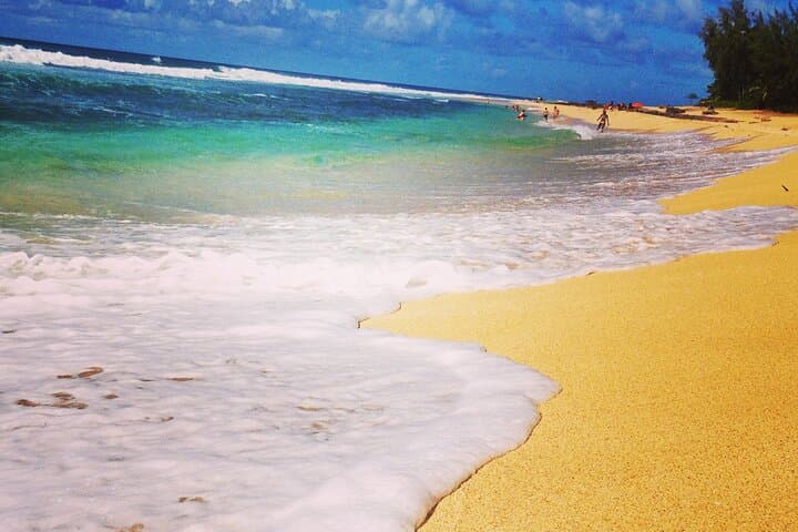Oahu North Shore Private 7-Hour Countryside Tour from Honolulu