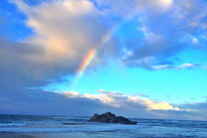 Oahu North Shore Private 7-Hour Countryside Tour from Honolulu photo 3