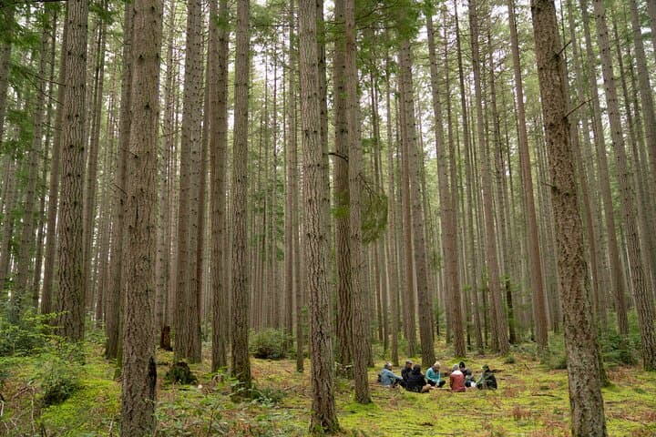 Bainbridge Island Forest Hike & Japanese American Exclusion Memorial Tour photo 1
