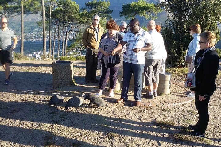 4-Day Private Cape Town Exploration: Table Mountain, Robben Island & Winelands photo 5