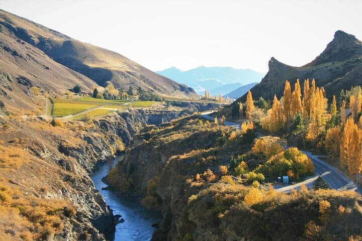 Queenstown Sightseeing Tour — Lake Wakatipu, Gibbston Valley & Arrowtown Highlights photo 5