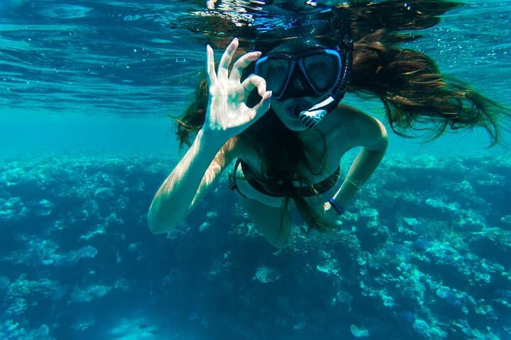 Private Snorkel Tour in Key Largo: Reefs, Wrecks & Turtles on a 4‑Hour Charter photo 2