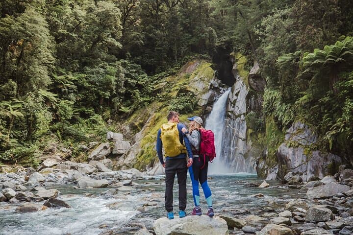 Milford Track Day Walk: Self-Guided Sandfly Point to Giant Gate Falls in Milford Sound