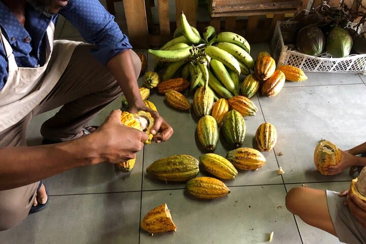 Authentic Limón Downtown Walking Experience — Puerto Limón Cultural Walking Tour photo 2