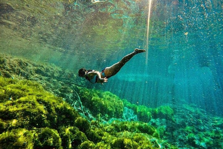 Swim with Turtles & Explore a Cenote: Akumal Private Snorkel Tour photo 2