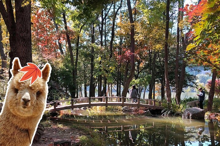 Nami Island, Alpaca World & Garden of Morning Calm Day Tour — Rail Bike Option
