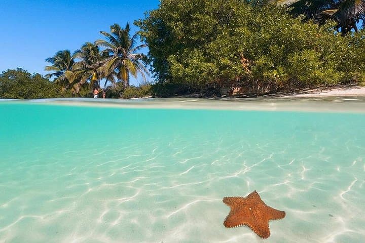 Contoy Island Day Trip: Snorkel the Mesoamerican Reef from Isla Mujeres photo 3