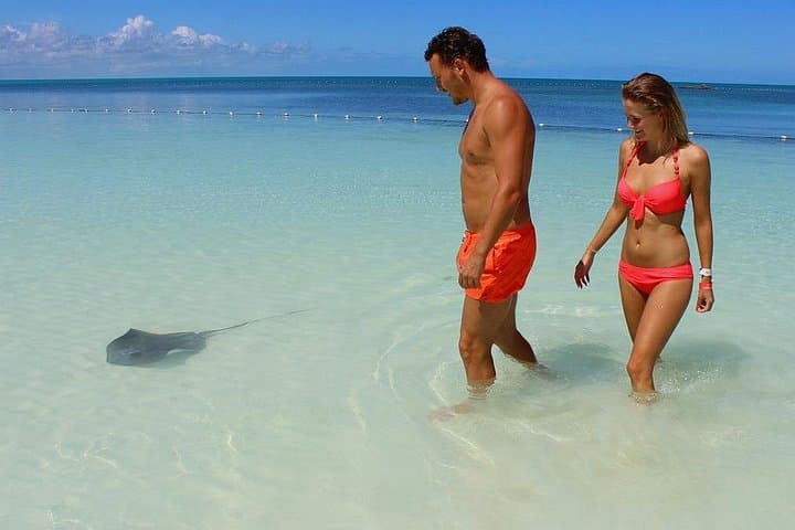Contoy Island Day Trip: Snorkel the Mesoamerican Reef from Isla Mujeres photo 4