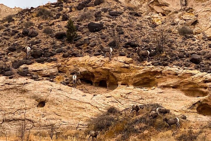 Offroad Waterpocket Fold Tour to Strike Valley Overlook: Burr Trail Switchbacks & Monocline Drive photo 6