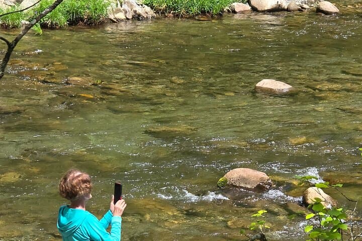Dolly Backroads: Great Smoky Mountains Arts & Crafts Spring Tour photo 5