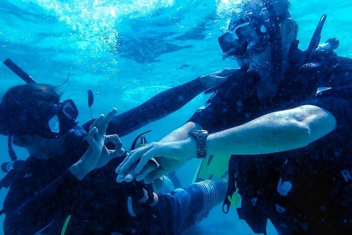 Mantanani Island: One-Day Diving Paradise from Kota Kinabalu photo 4
