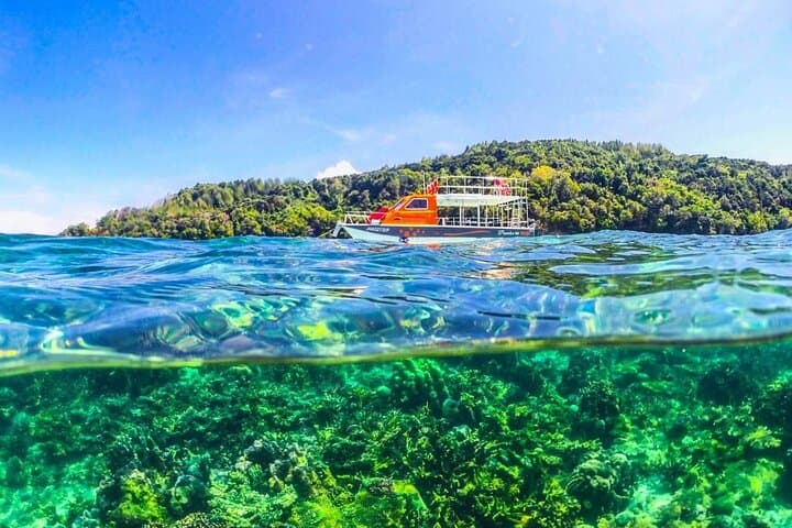 Tunku Abdul Rahman National Park 2-Island Snorkel Tour from Kota Kinabalu photo 4