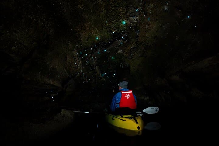 Rotorua Glow Worm Kayak Tour: Night Paddle to Glowworm Caves photo 4