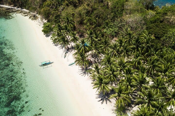 Ultimate 8-Day Palawan Island Tour: Puerto Princesa to El Nido Adventure photo 6