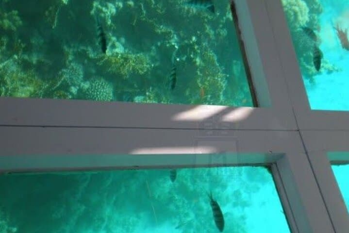 Explore Montego Bay Coral Gardens on a Glass-Bottom Boat Tour photo 2