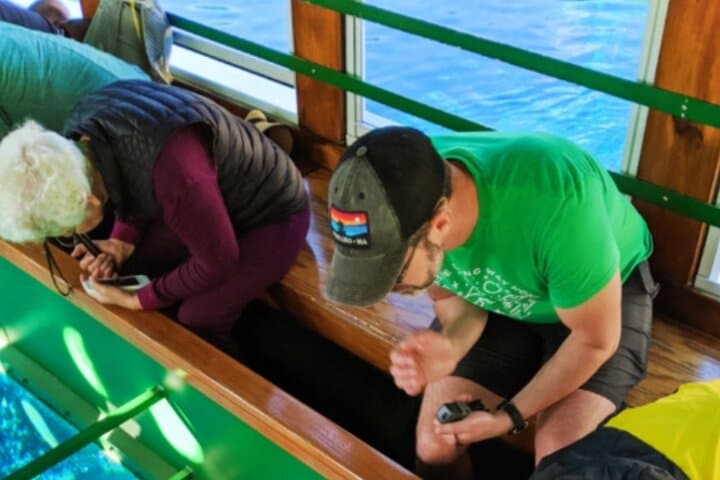Explore Montego Bay Coral Gardens on a Glass-Bottom Boat Tour photo 6