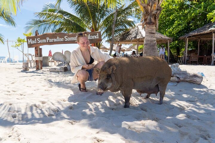 Koh Tan and Pig Island Tour with Sunset Cruise from Koh Samui photo 2