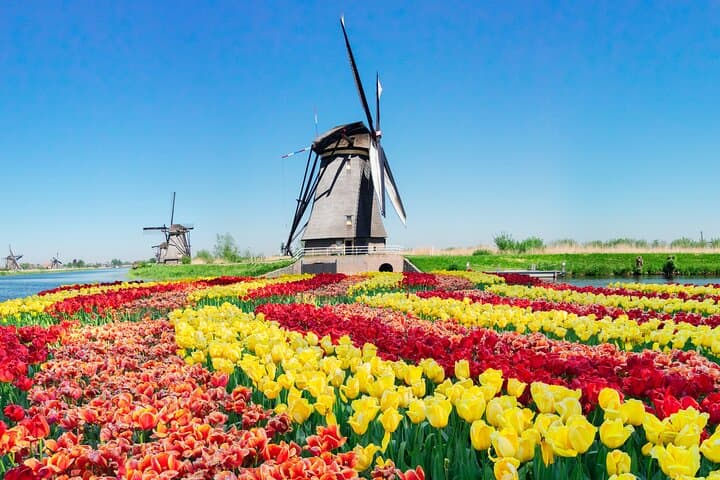 Private Rotterdam Day Trip: Kinderdijk, Delft & The Hague in One Day photo 5