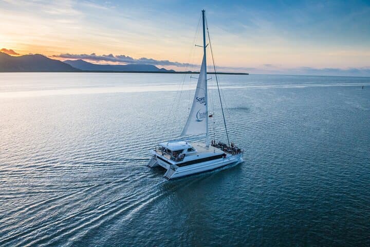 Cairns Catamaran Harbour and Dinner Cruise: Sunset Buffet on Trinity Inlet